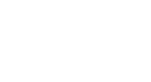 DCS_Logo_light.png